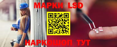 крисы Абакан
