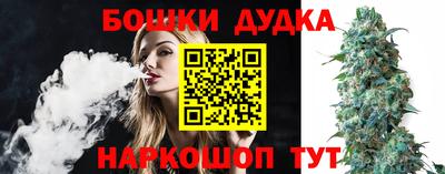 крисы Абакан