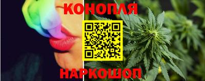 крисы Абакан