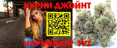 крисы Абакан