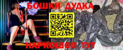 крисы Абакан