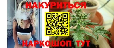 крисы Абакан