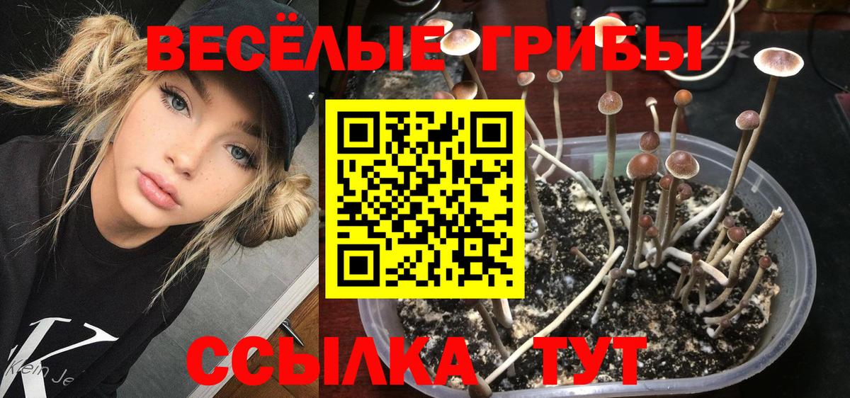 где продают   Галлюциногенные грибы ЛСД  Вход с VPN  Апатиты 